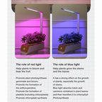 Hydroponics Growing System, Indoor Herb Garden Starter Kit with Led Grow Light, Smart Garden Planter for Home Kitchen, Automatic